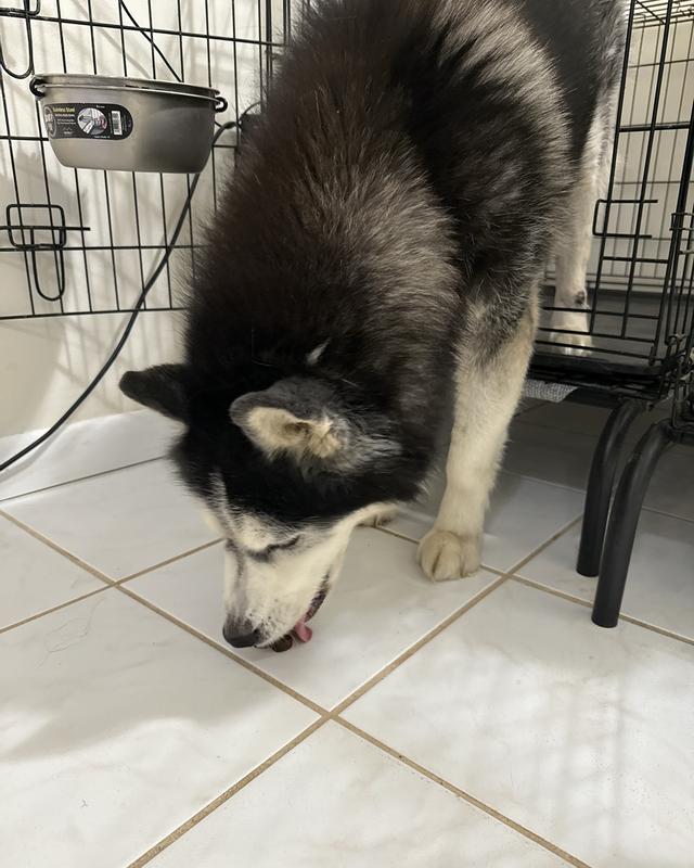 No hassle-easy to eat!