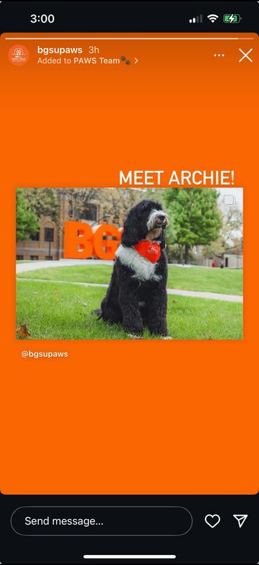 Meet Archie the Therapy Dog!