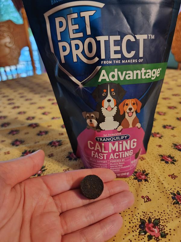 They are a good size