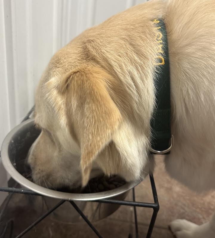 Mmm I’ll take seconds please!