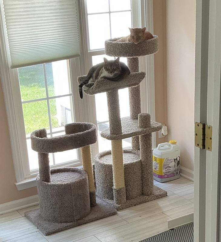 Altered setup for cat tree