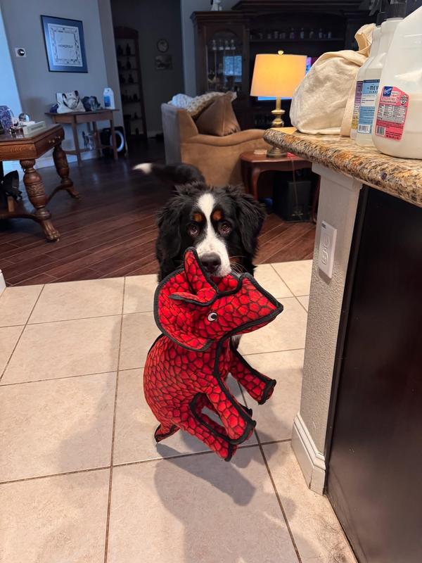 Marbles with his new best friend.