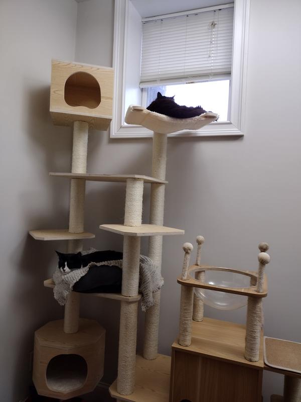 ARMARKAT 89-in Premium Scots Pine Cat Tree Tower - Chewy.com