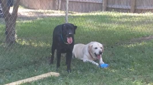The boys relaxing after play.