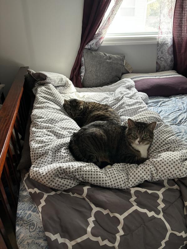 Actually sleeping together