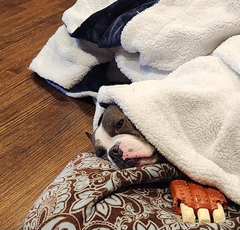 Tired and mad playtime is over