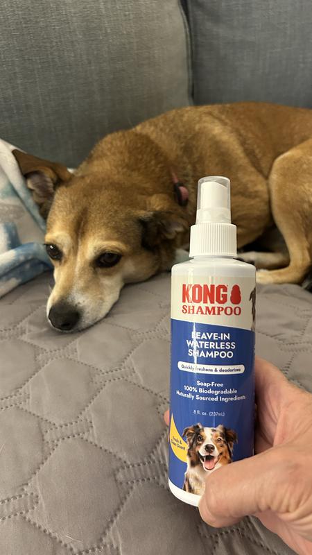 Bella clean enough to relax on the couch