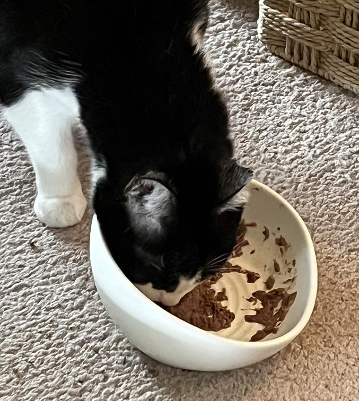 Loki aka Princess Baby Nugget