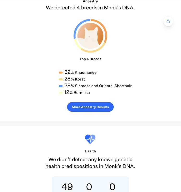 Wisdom Panel Complete Cat DNA Test