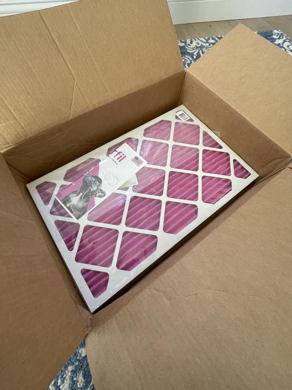 COLORFIL MERV 8 Color Changing Air Filter, 2 count, 16 x 25 x 1-in