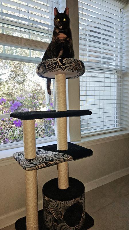 The Queen surveying her domain