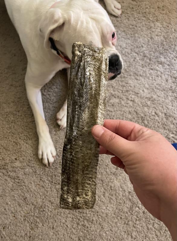 Crispy Cod Fish Skins Ocean Chews Dog Treats, 2.75 Oz At Whole Foods Arket