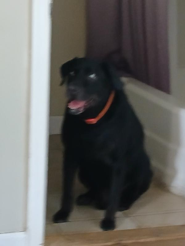 Here he is at 14 yrs and 8 months.