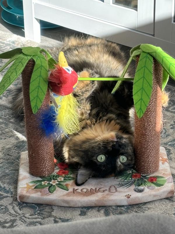 KONG Play Spaces Tiki Twirl Cat Toy