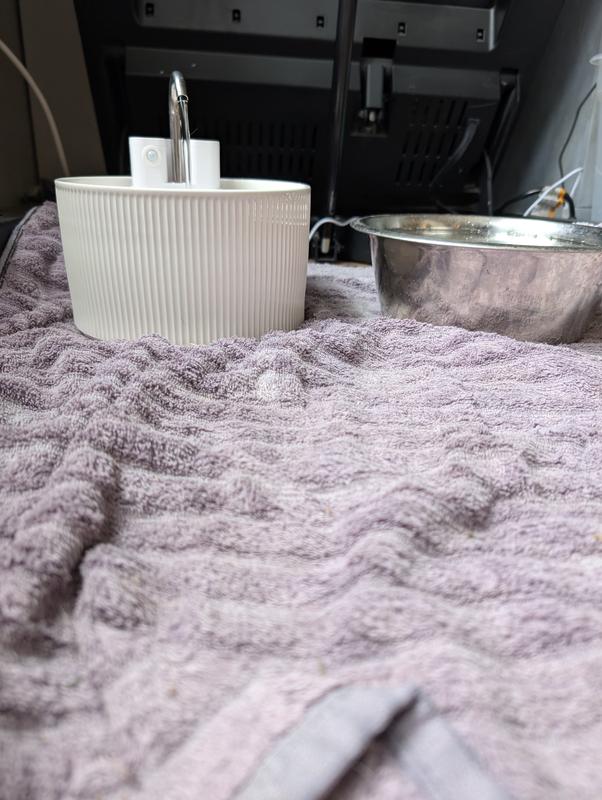 Here you can see the height difference and if both bowls are out they choose the metal dish 9 times out of 10.