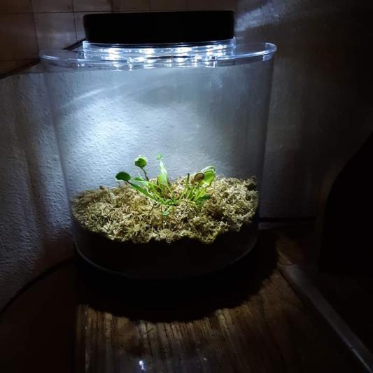 It looked AMAZING!! Now what?!?!