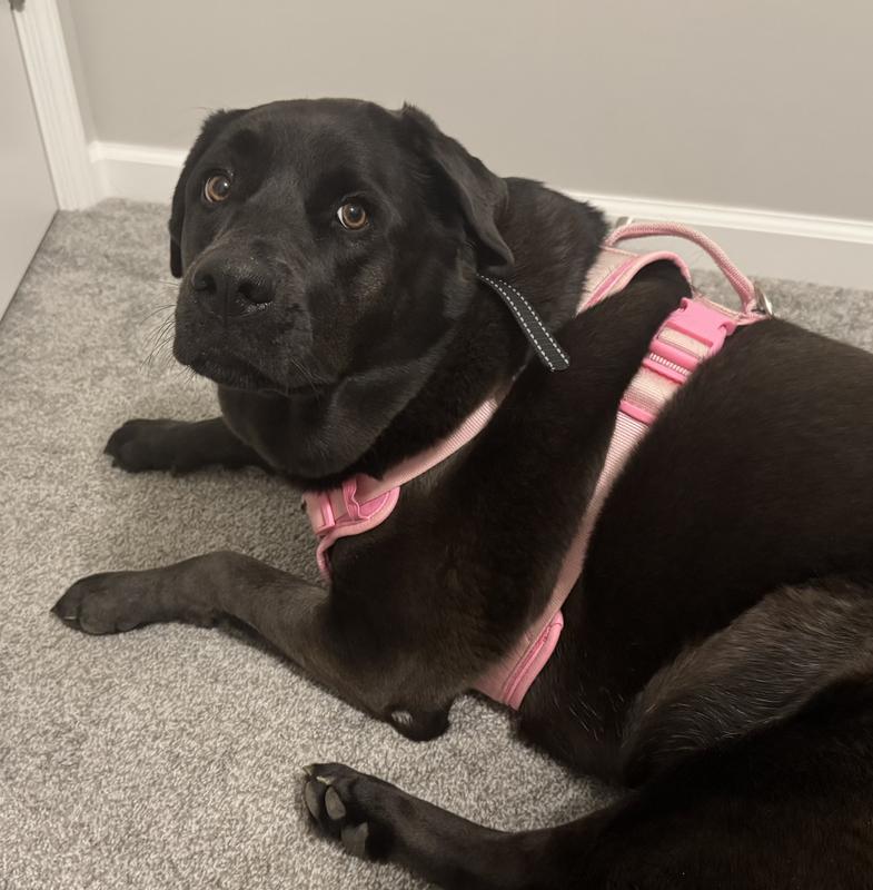 Is it bath time again?