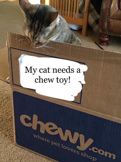 Chewy fromm outlet cat food