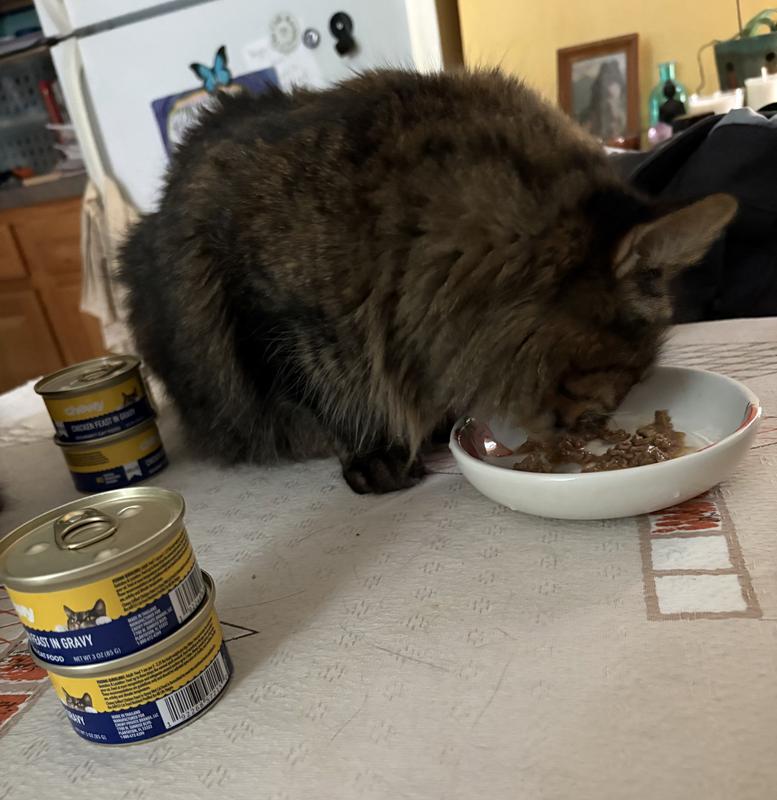 Kitsu enjoyed this food very much!