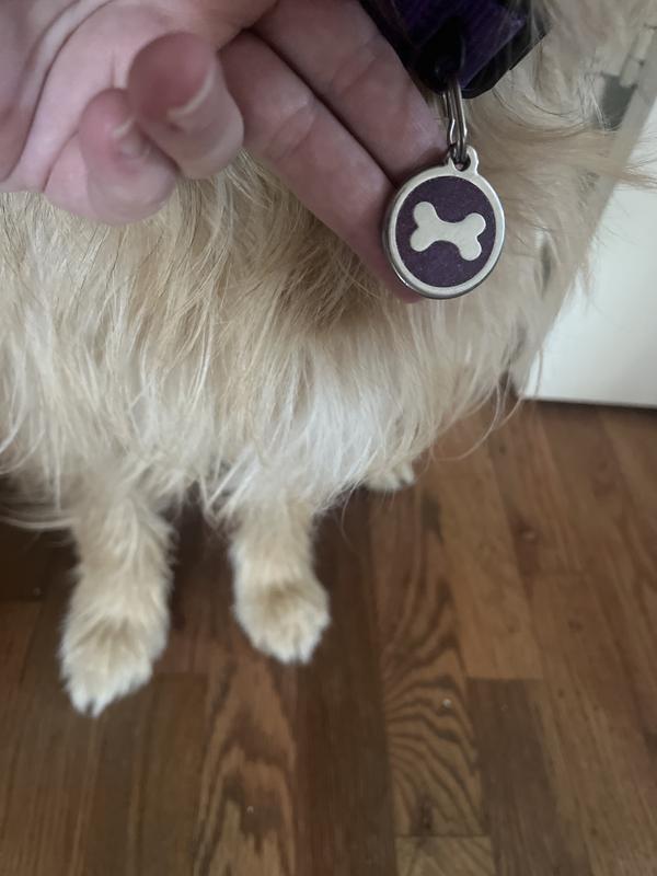 Dog tested, Mom approved.