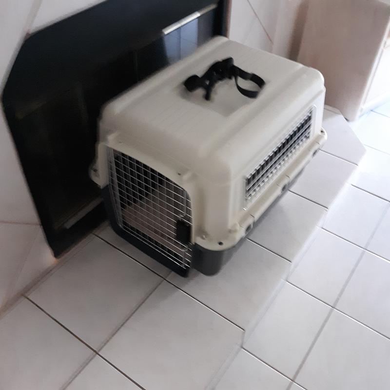 Great carrier that's mobile!