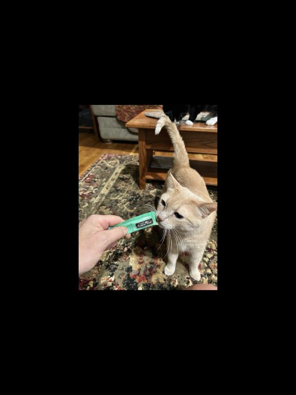 Bing would eat them all at one sitting