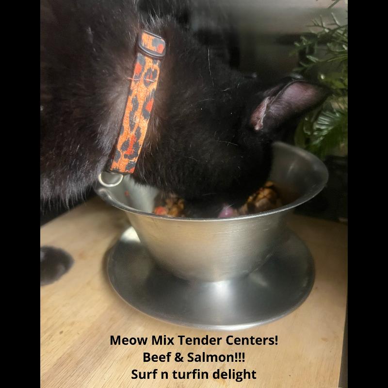 Lovin Meow Mix Beef & Salmon Tender Centers!