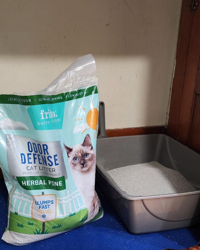 FRISCO Odor Defense Herbal Pine Scented Clumping Clay Cat Litter, 35lb