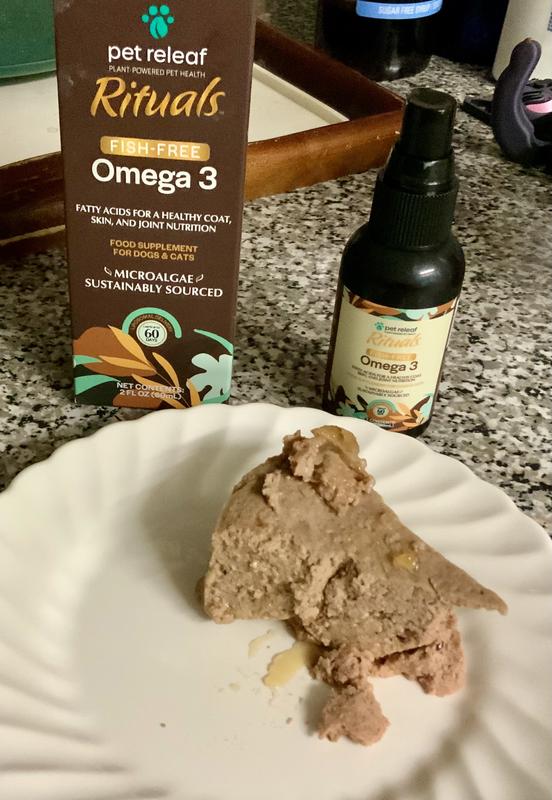 Rituals with Catsby’s food