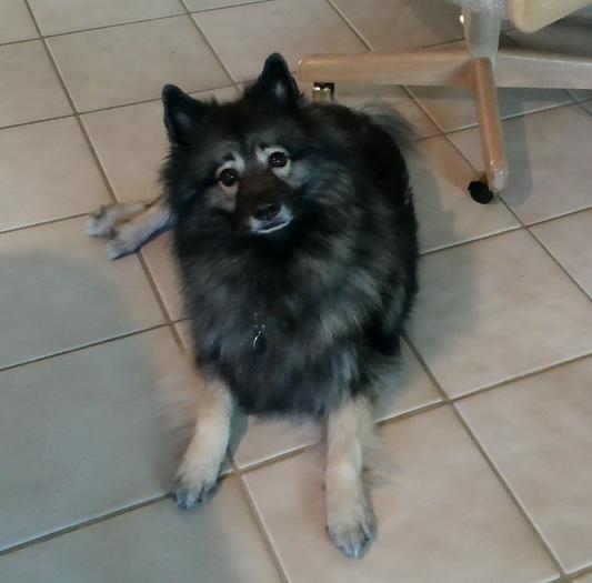 Barkley