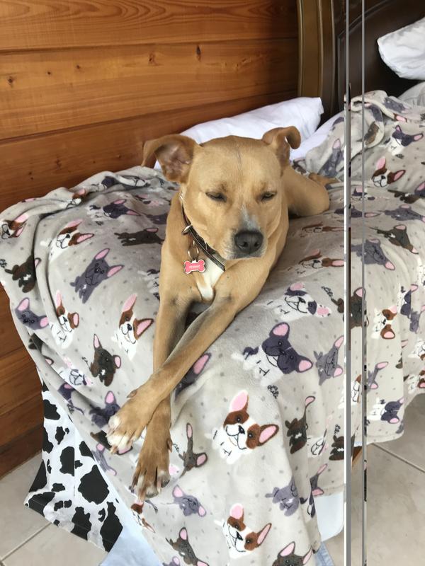 Works great for Peanut!