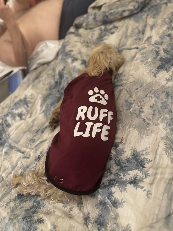 Ruff Pup!
