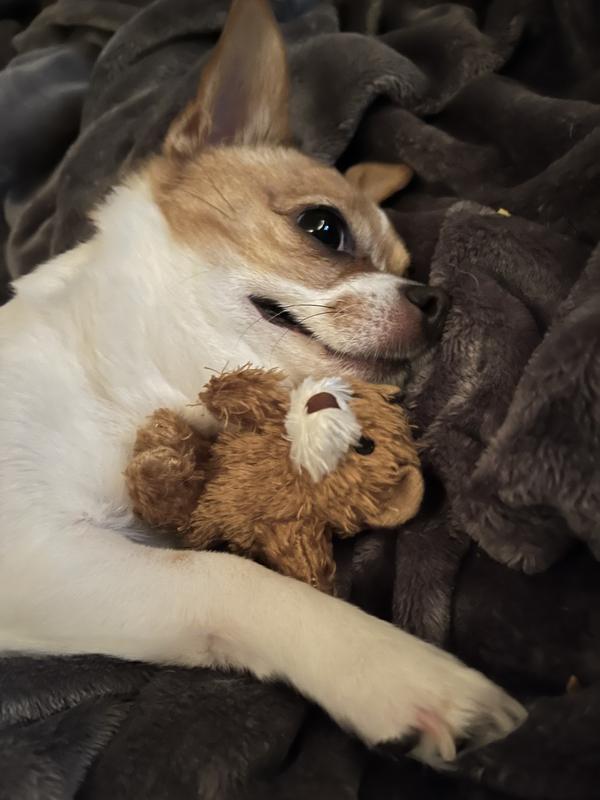 My precious Reami - Lynn