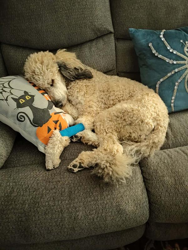 She was a very sick lil lady