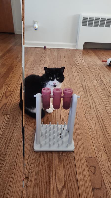 Mavis realized the one hole top gives food faster