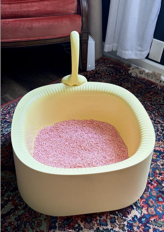 Michu Litter Box with Peach Tofu Litter