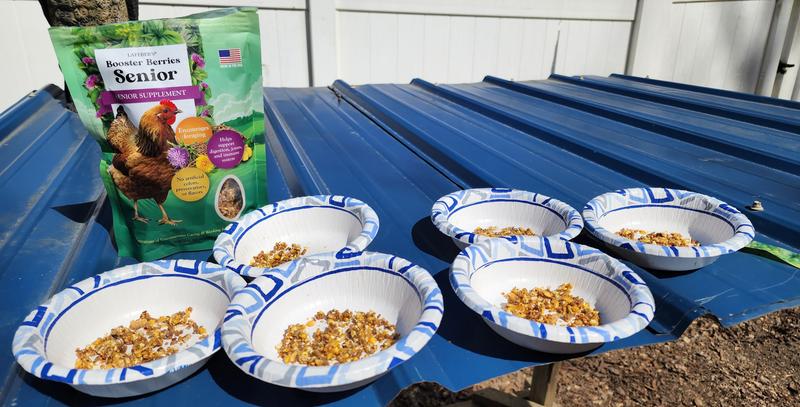 Booster berries broken up in bowls