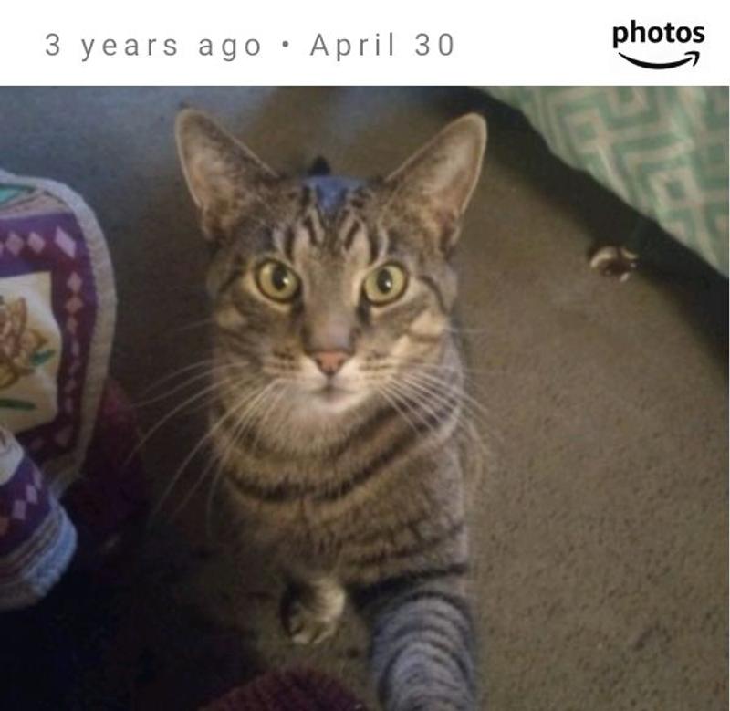 That's Spike giving me five.
