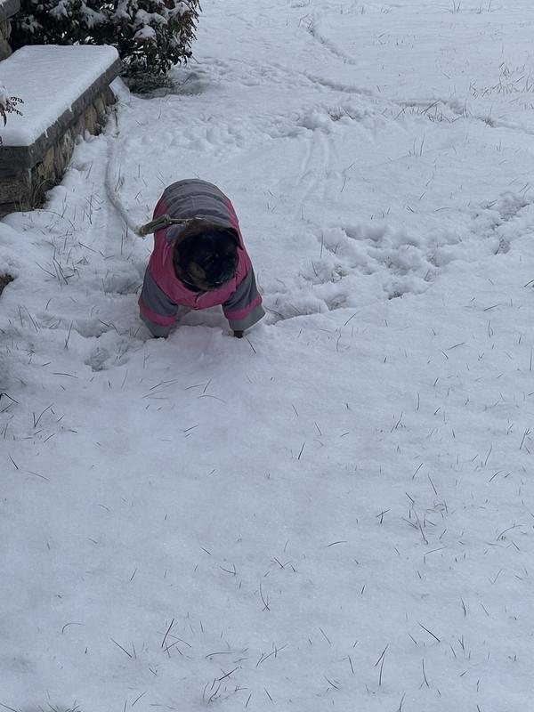 warm but not user friendly