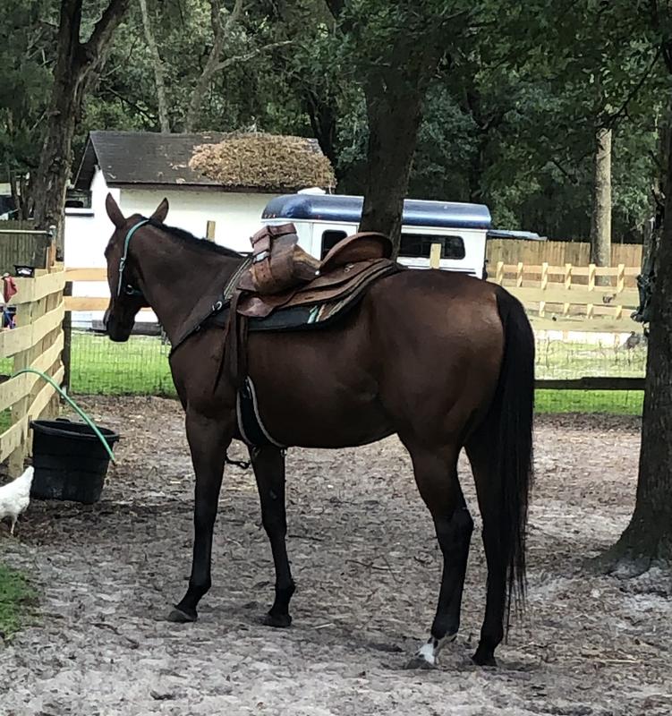 Bought in January 2022