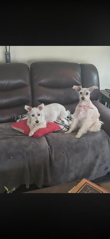 4 year old Scarlet & 20 year old Lucy.
