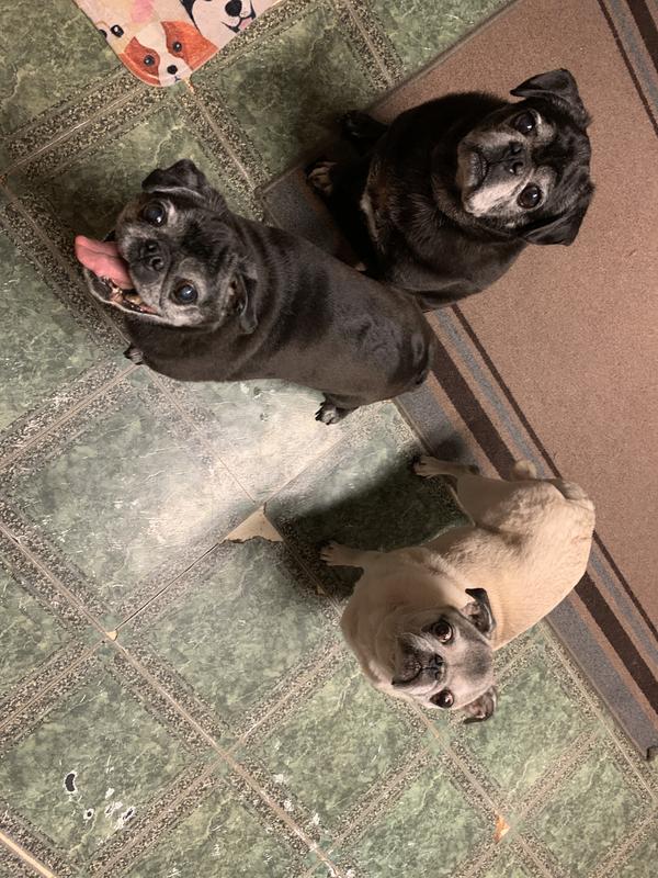 My crew impatiently waiting