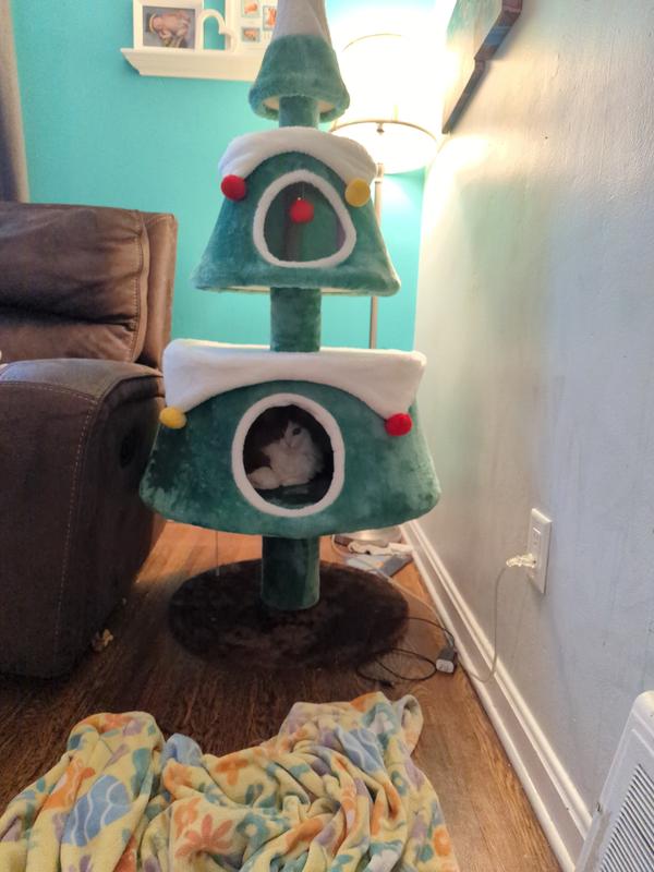 Barbara Gordon approved