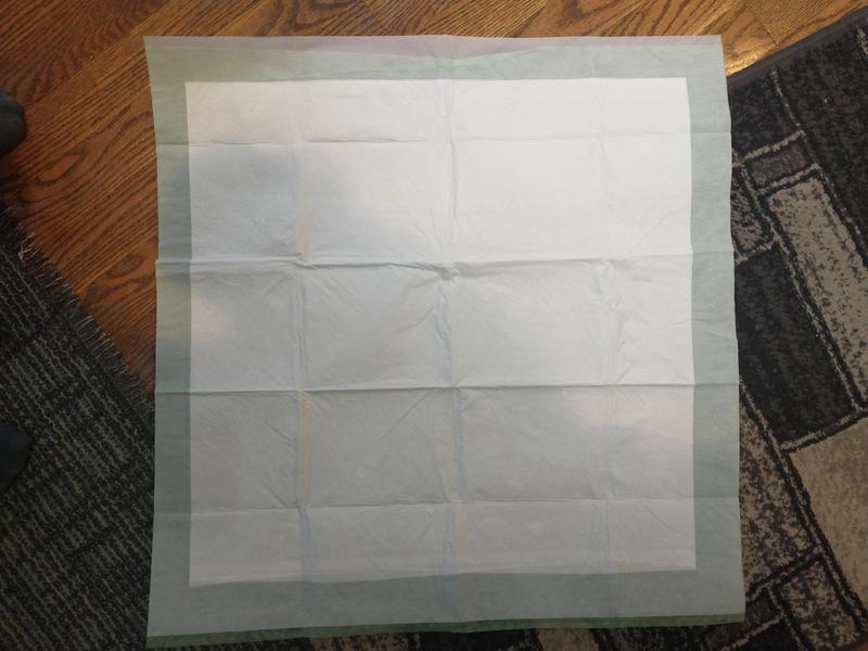 Wee wee pad unfolded. A nice square.