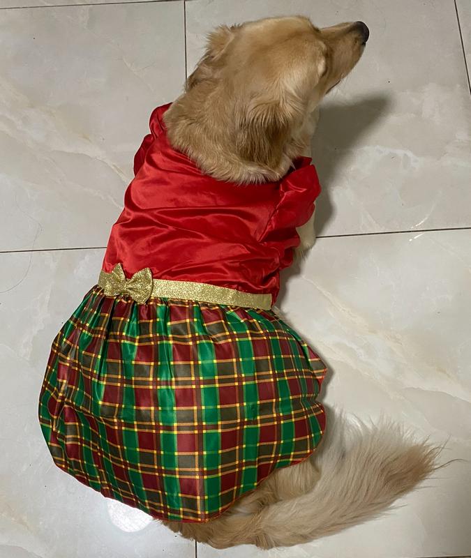 Product Reviews for FRISCO Red & Green Plaid Dog & Cat Dress