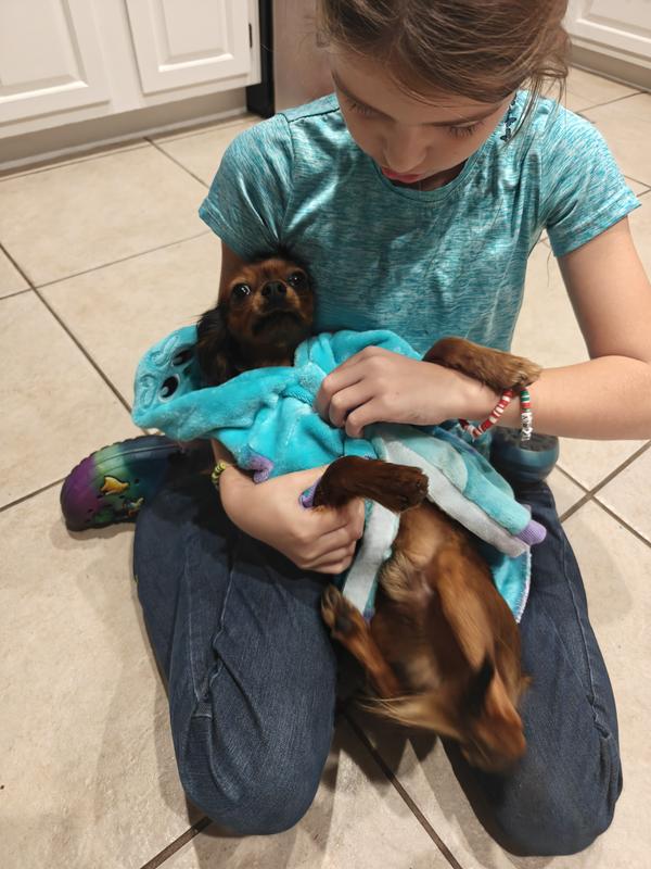 The Velcro belly was a struggle to get on.