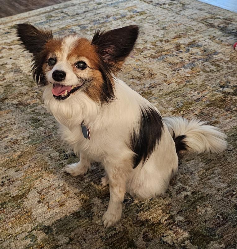 Joy!