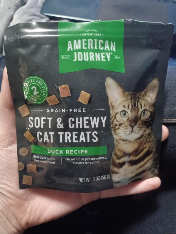 AMERICAN JOURNEY Duck Flavor GrainFree Soft & Chewy Cat Treats 2oz bag bundle of 2