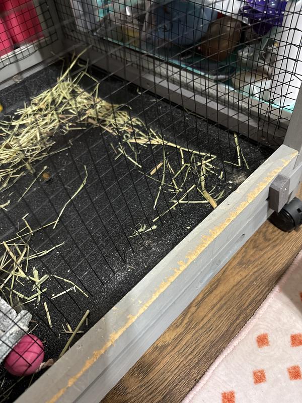 Wire Mesh pulled off cage