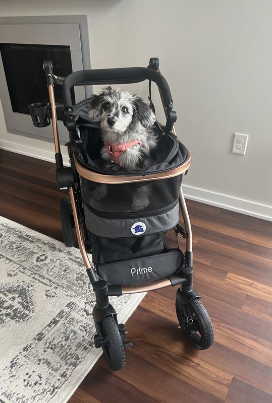 HPZ Rover Prime G2 Luxury 3-in-1 Dog & Cat Stroller, Ruby Red - Chewy.com